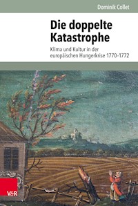 Die doppelte Katastrophe - Dominik Collet - E-Book