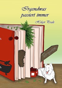 Irgendwas passiert immer - Holger Prade - E-Book