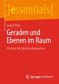 Geraden und Ebenen im Raum - Guido Walz - E-Book