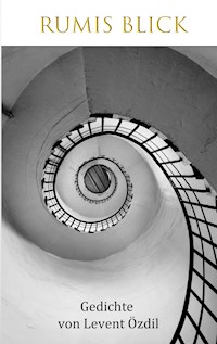 Rumis Blick - Levent Özdil - E-Book
