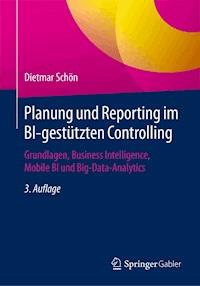 Planung und Reporting im BI-gestützten Controlling - Dietmar Schön - E-Book