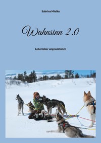 Wahnsinn 2.0 - Sabrina Mielke - E-Book