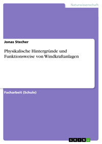 Physikalische Hintergründe und Funktionsweise von Windkraftanlagen - Jonas Stecher - E-Book