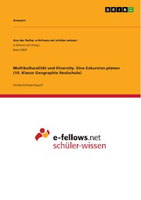 Multikulturalität und Diversity. Eine Exkursion planen (10. Klasse Geographie Realschule) - - E-Book