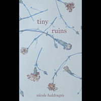 Tiny Ruins (Unabridged) - Nicole Haldoupis - Hörbuch