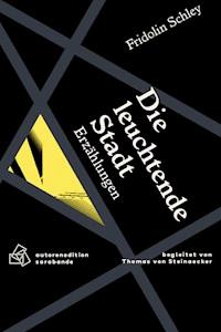 Die leuchtende Stadt - Fridolin Schley - E-Book