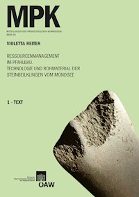 Ressourcenmanagement im Pfahlbau. Technologie und Rohmaterial der Steinbeilklingen vom Mondsee - Violetta Reiter - E-Book