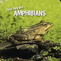 How they live... Amphibians - Ivan Esenko - E-Book
