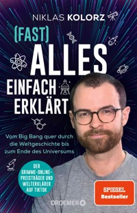 (Fast) Alles einfach erklärt - Niklas Kolorz - E-Book