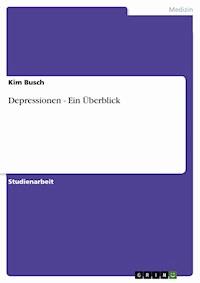 Depressionen - Ein Überblick - Kim Busch - E-Book