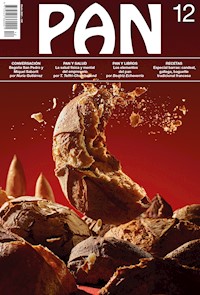 PAN 12 - aa.vv - E-Book