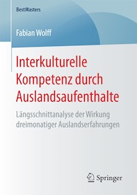 Interkulturelle Kompetenz durch Auslandsaufenthalte - Fabian Wolff - E-Book