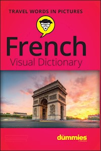 French Visual Dictionary For Dummies -  - E-Book