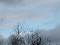 Der Teufel trug Jeans - Tibor Simbasi - E-Book