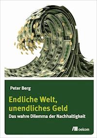 Endliche Welt, unendliches Geld - Peter Berg - E-Book