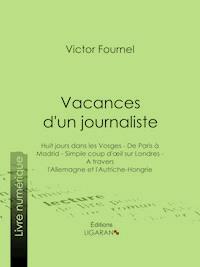 Vacances d'un journaliste - Victor Fournel - E-Book
