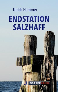 Endstation Salzhaff - Ulrich Hammer - E-Book