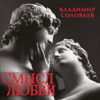 Смысл любви - Vladimir Solov'ev - Hörbuch