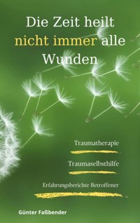 Die Zeit heilt nicht immer alle Wunden - Günter Faßbender - E-Book