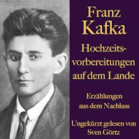 Franz Kafka: Hochzeitsvorbereitungen auf dem Lande. - Franz  kafka - Hörbuch