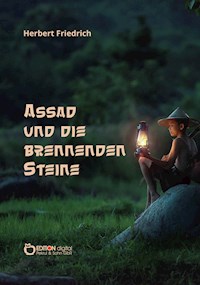 Assad und die brennenden Steine - Herbert Friedrich - E-Book