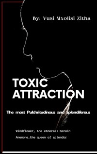 Toxic Attraction - Vusi Mxolisi Zitha - E-Book