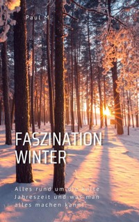 Faszination Winter - Paul M. - E-Book