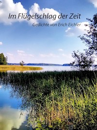 Im Flügelschlag der Zeit - Erich Eichler - E-Book