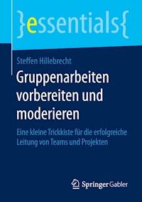 Gruppenarbeiten vorbereiten und moderieren - Steffen Hillebrecht - E-Book