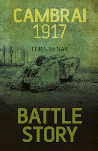 Battle Story: Cambrai 1917 - Chris McNab - E-Book