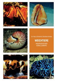 Weichtiere indopazifischer Korallenriffe - Harry Erhardt - E-Book
