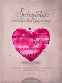 Seelenpartner - wenn Liebe alle Grenzen sprengt - J.s. Wiech - E-Book