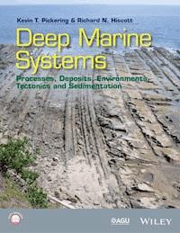 Deep Marine Systems - Kevin T. Pickering - E-Book