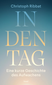 In den Tag - Christoph Ribbat - E-Book