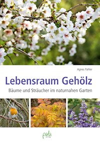Lebensraum Gehölz - Agnes Pahler - E-Book