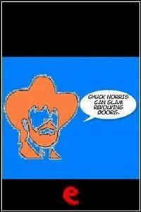 Chuck Norris can slam revolving doors. - aa.vv - E-Book