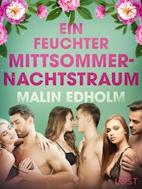 Ein feuchter Mittsommernachtstraum: Erotische Novelle - Malin Edholm - E-Book