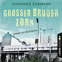 Großer Bruder Zorn - Johannes Ehrmann - Hörbuch