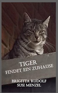 Tiger findet ein Zuhause - Brigitta Rudolf - E-Book
