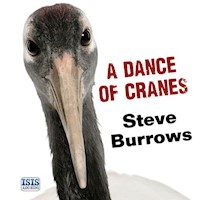 Dance of Cranes, A - Steve Burrows - Hörbuch