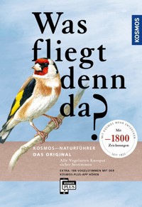 Was fliegt denn da? Das Original - Peter H. Barthel - E-Book