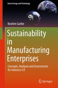 Sustainability in Manufacturing Enterprises - Ibrahim Garbie - E-Book