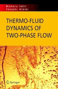 Thermo-fluid Dynamics of Two-Phase Flow - Mamoru Ishii - E-Book