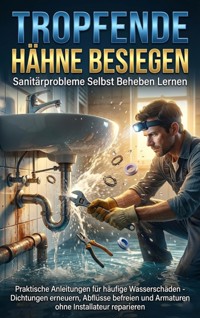Tropfende Hähne Besiegen: Sanitärprobleme Selbst Beheben Lernen - Benjamin Graf - E-Book