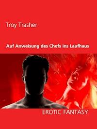 Auf Anweisung des Chefs ins Laufhaus - Troy Trasher - E-Book