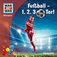 Fußball - 1, 2, 3 ... Tor! - Johannes Disselhoff - Hörbuch