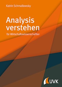 Analysis verstehen - Katrin Schmallowsky - E-Book