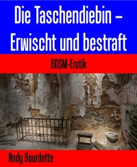 Die Taschendiebin – Erwischt und bestraft - Andy Bourdette - E-Book