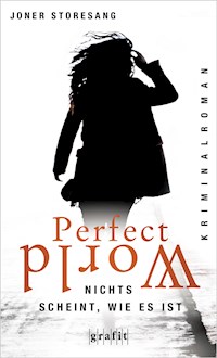 Perfect World. Nichts scheint, wie es ist - Joner Storesang - E-Book