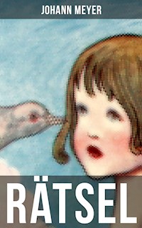 RÄTSEL - Johann Meyer - E-Book